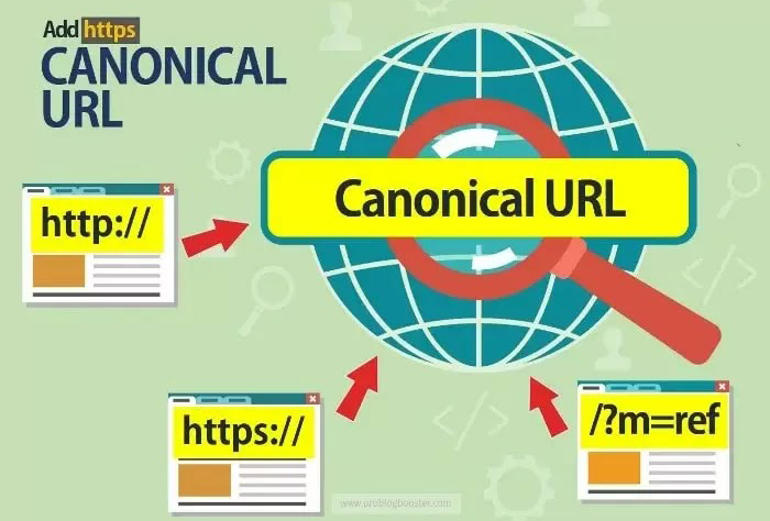 Canonical URL（权威链接）