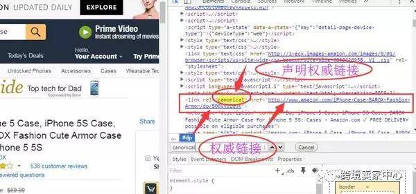 Canonical URL（权威链接）
