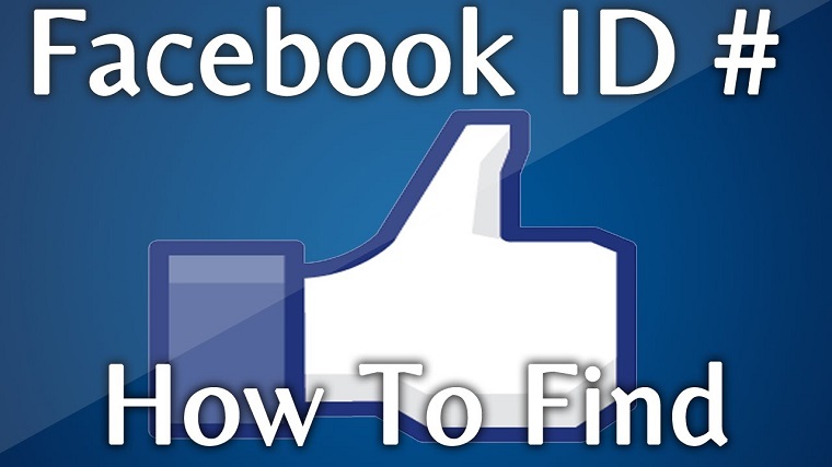 FindMyfbid