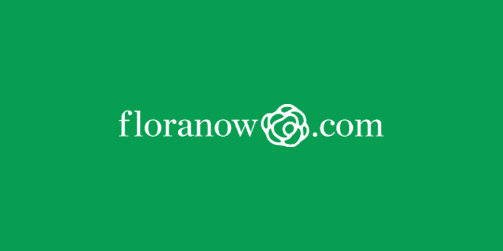 花卉B2B平台Floranow获300万美元A轮融资