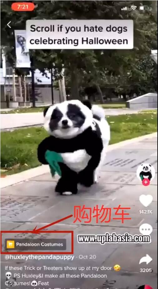 流量新星！TikTok如何找网红营销和打造网红