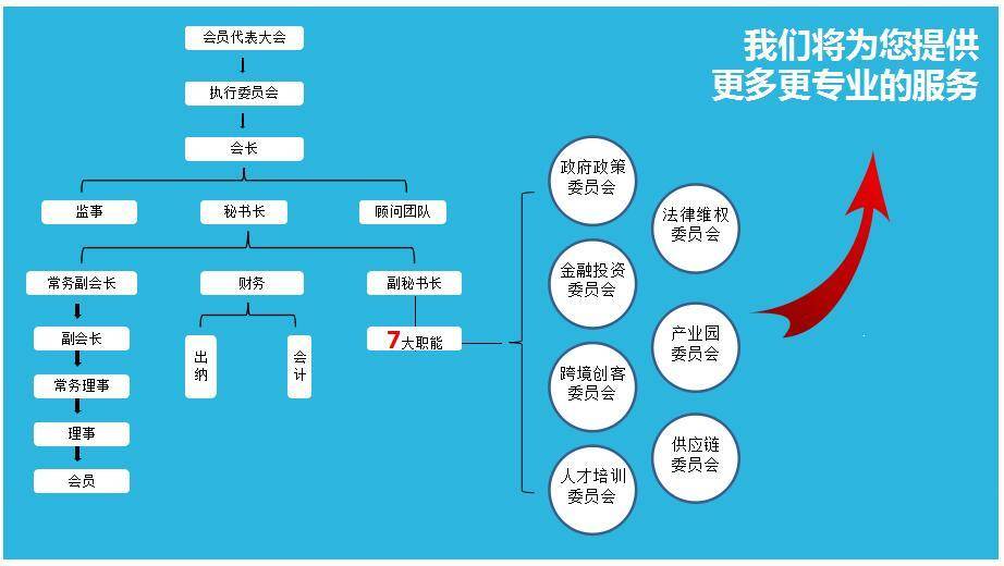 深圳市跨境电子商务协会