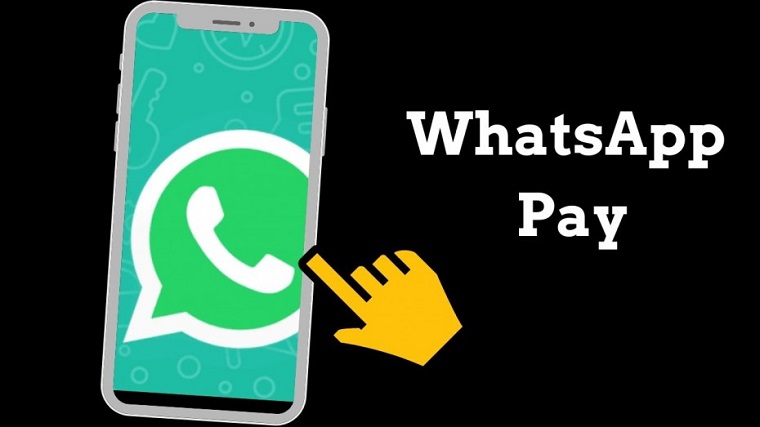 受WhatsApp Pay上线影响 PhonePe和Google Pay寻找新盈利增点