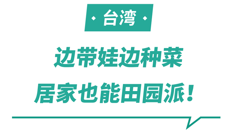 Shopee市场周报 | 印尼台湾泰国家居品类超热搜商品曝光