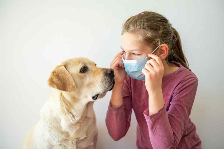 巴西宠物用品电商Petlove获2300万美元融资