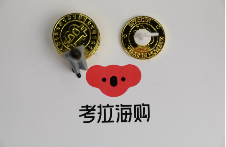 考拉海购：开年来宠物减肥商品增长240％