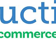 Auctiva