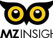AMZ Insight