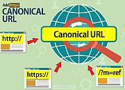 Canonical URL（权威链接）