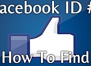FindMyfbid