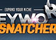 Keyword Snatcher
