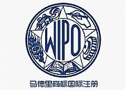 马德里商标国际注册