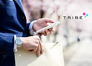 Tribe Group