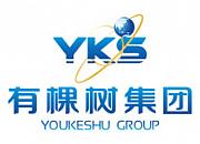 深圳市有棵树科技股份有限公司