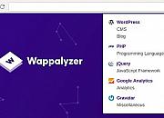Wappalyzer 网站分析插件