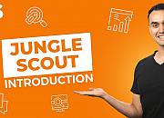 Jungle Scout推出子账号权限管理功能 保护数据安全