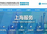 上海跨境电子商务公共服务有限公司