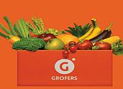 印度杂货电商Grofers完成超4.3亿卢比新一轮融资