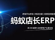 蚂蚁店长（MAEE）