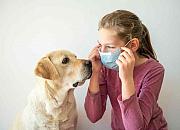 巴西宠物用品电商Petlove获2300万美元融资