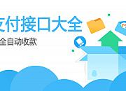 常用的国际支付接口有哪些？