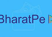 印度金融创企BharatPe计划在3月前筹集1亿美元股权资金