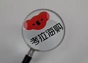 考拉海购回应用户下单卸妆水收到砖头：已有专员处理