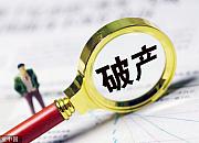 跨境电商大卖家环球易购被申请破产