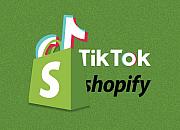 Shopify后台可以直接看Tiktok数据？