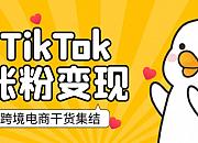 跨境电商必看！一文带你跑通TikTok涨粉变现全流程
